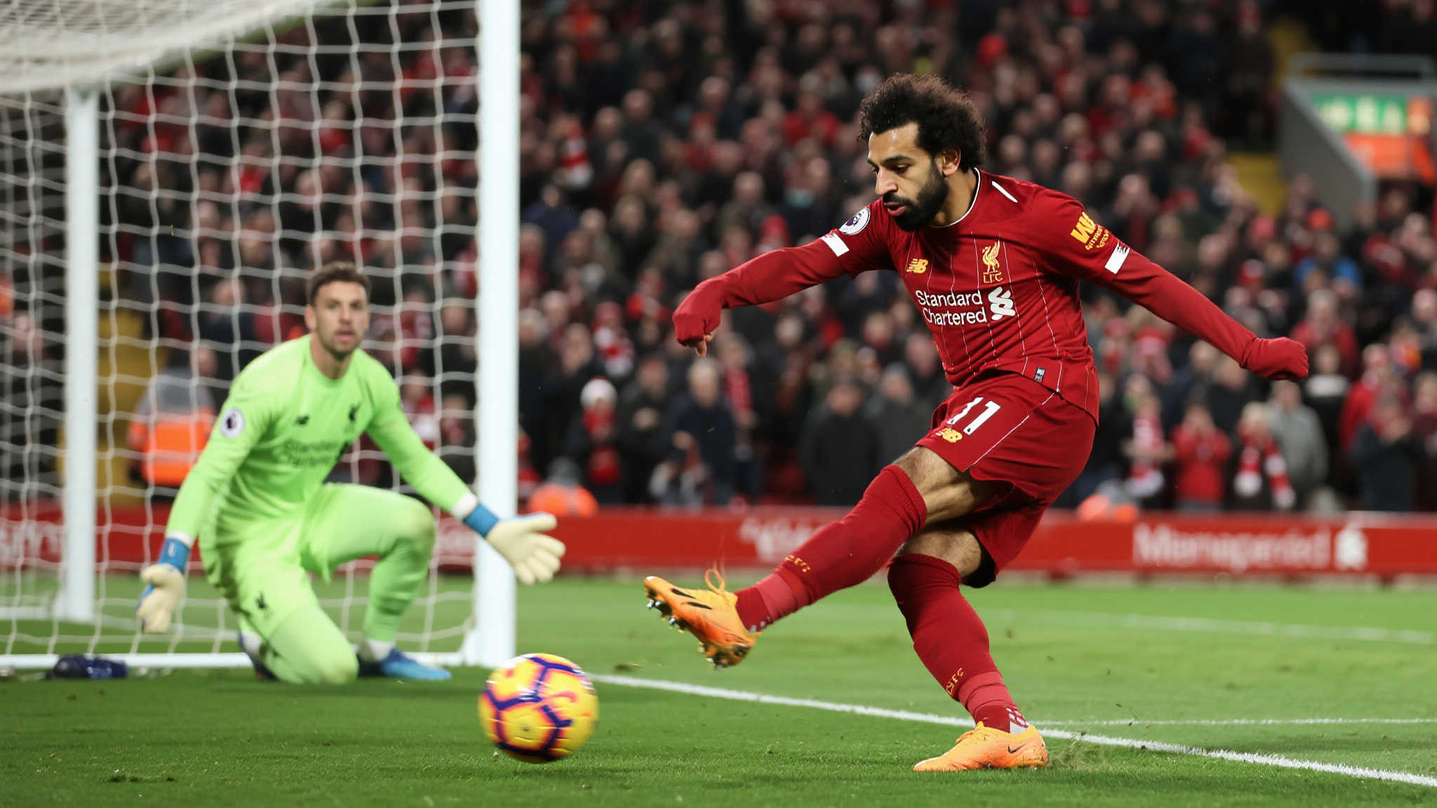 以求在未来 以求在未来